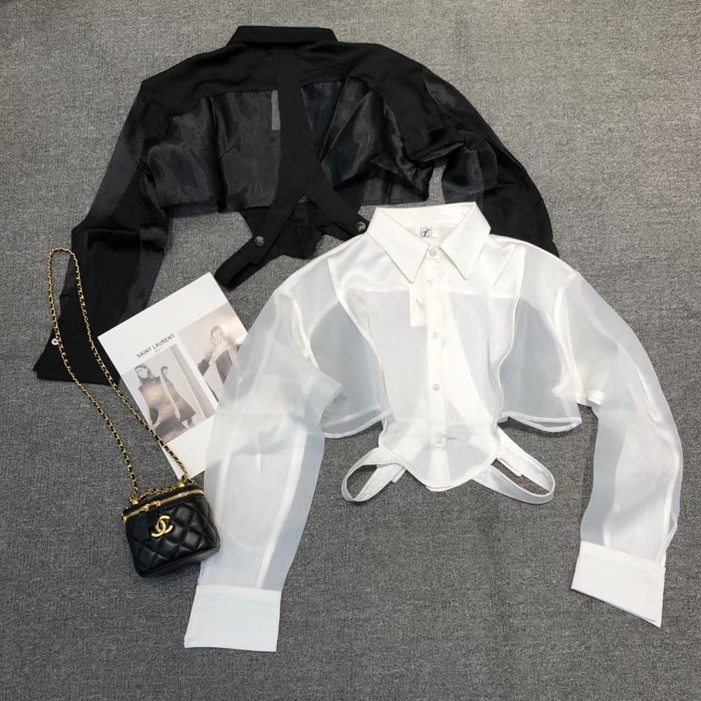 Sheer shirt